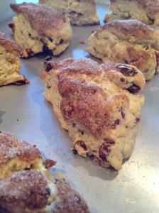 Close up of Orange Raisin Scones